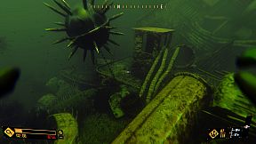 Deep Diving Adventures