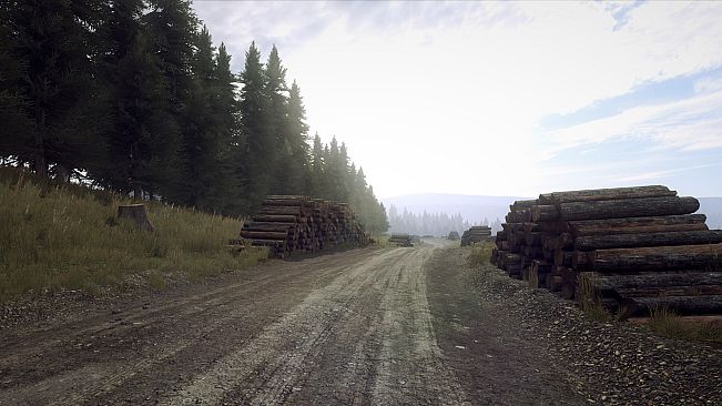 DiRT Rally 2.0 - Wales (Rally Location)