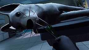 VetVR Veterinary Simulator