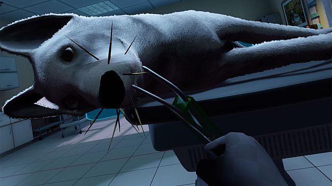 VetVR Veterinary Simulator