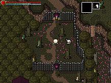 Snails Have Skeletons