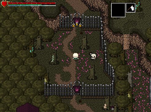 Snails Have Skeletons