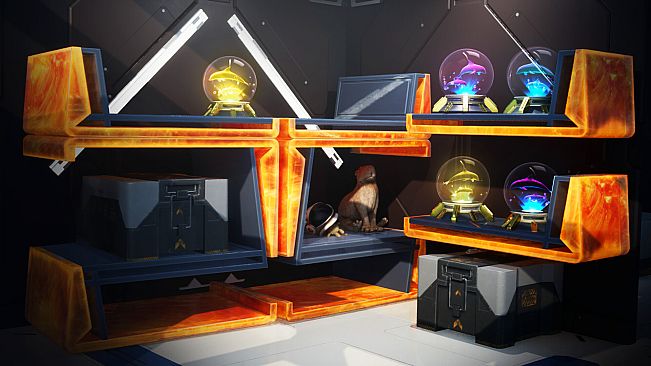 Forever Skies - Whale and Dolphin Conservation Artifact