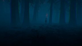 The Woods