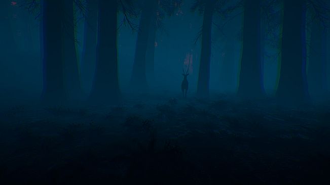 The Woods