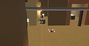 FPV PVP