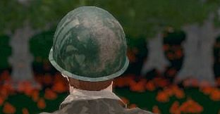 Hide and Seek - Army Helmet