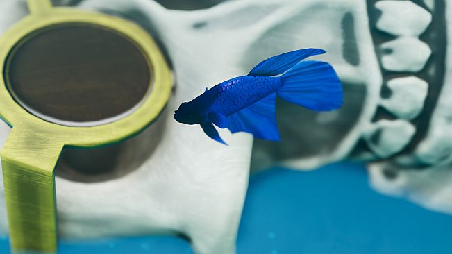 Fish Game - Betta Fish Pack 1