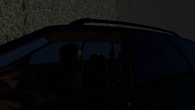 Traffic Stop Anomaly