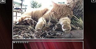 Super Jigsaw Puzzle: Generations - Cats Puzzles