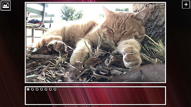 Super Jigsaw Puzzle: Generations - Cats Puzzles