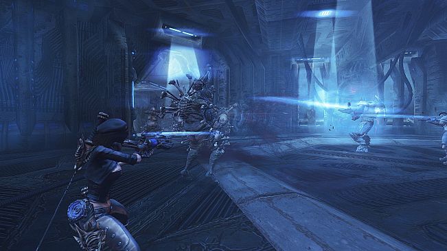 Blades of Time - Dismal Swamp DLC