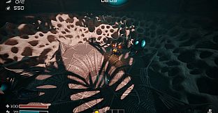 Dig Baby Dig Company