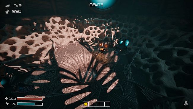 Dig Baby Dig Company