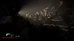 Where the forest ends