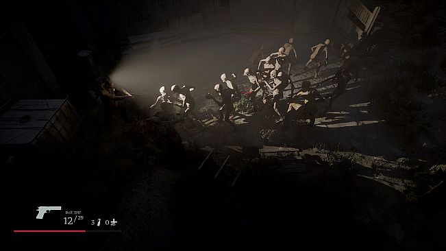 Where the forest ends