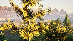 Reborn: The Evil Being