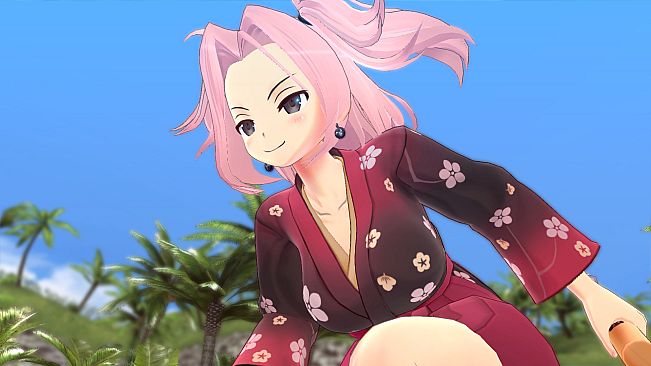 SENRAN KAGURA ESTIVAL VERSUS - Splash Pack