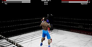 Boxing Simulator