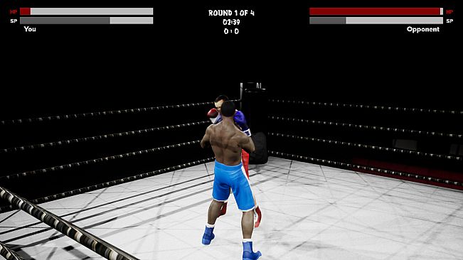 Boxing Simulator