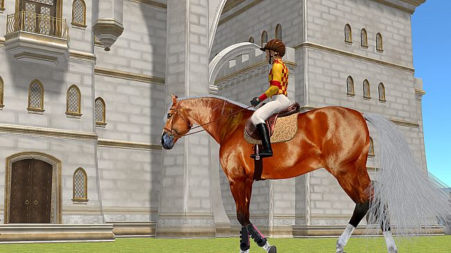 Jumpy Horse Show Jumping