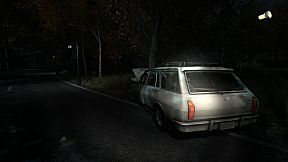 The Secret of Pineview Forest