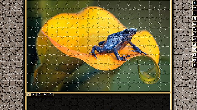 Pixel Puzzles Traditional Jigsaws Pack: Frogs