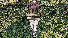 I commissioned some cats 4