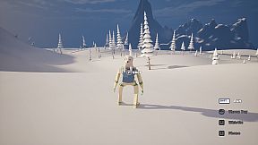 Dog Walking Adventures