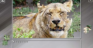 Super Jigsaw Puzzle: Generations - Random Animals 2