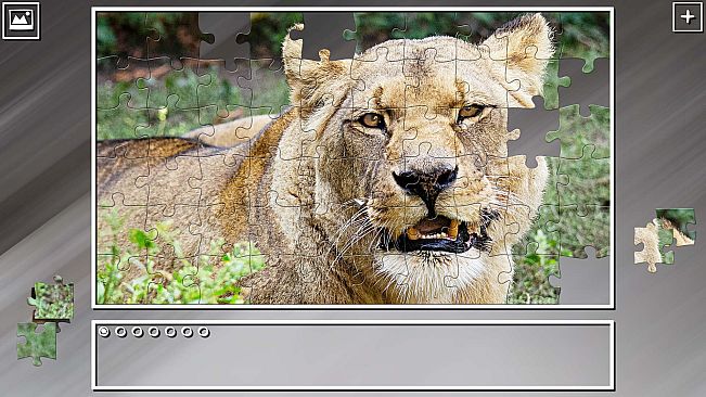 Super Jigsaw Puzzle: Generations - Random Animals 2