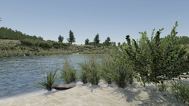 VR Walking Simulator