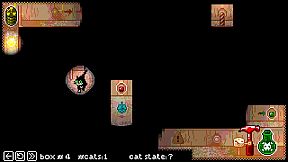 Schrodinger's Cat Experiment (SCE)