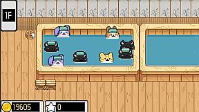 Maltese's Fluffy Onsen