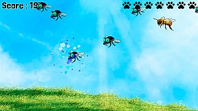 SHADE The Border Collie Flycatcher