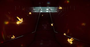 Dreams About Fireflies