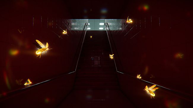 Dreams About Fireflies