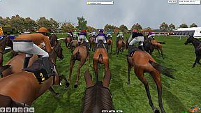 Starters Orders 6 Horse Racing