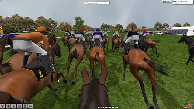 Starters Orders 6 Horse Racing