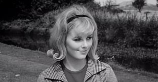 ROUGH KUTS: Dementia 13