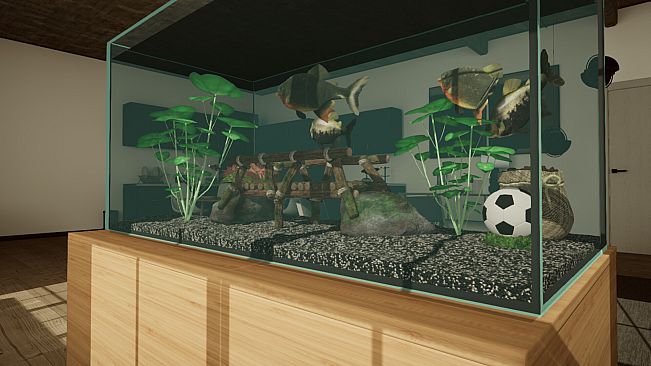 Aquarium Designer - Amazonia