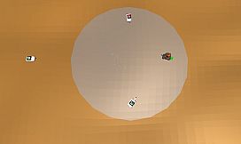 Bears in Tanks