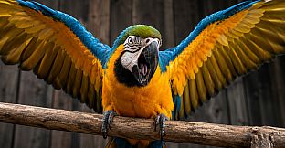 Puzzles Parrots