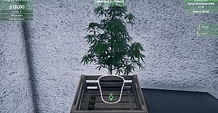 Weed Supermarket Simulator: Prologue