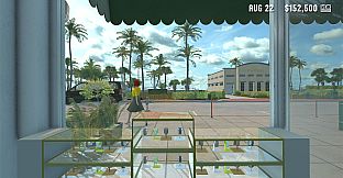 Luxury Store Simulator