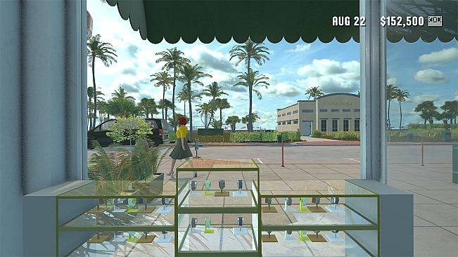 Luxury Store Simulator