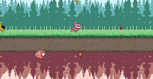 ANIMALITY - Cat Colour Pigments