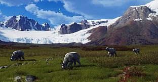 Way of the Hunter - Aurora Shores