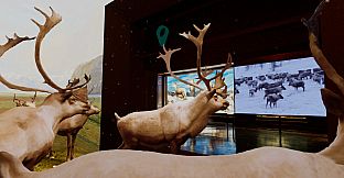 Beyond The Diorama: Caribou World