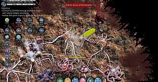 Mycelium Conquest: Mitosis